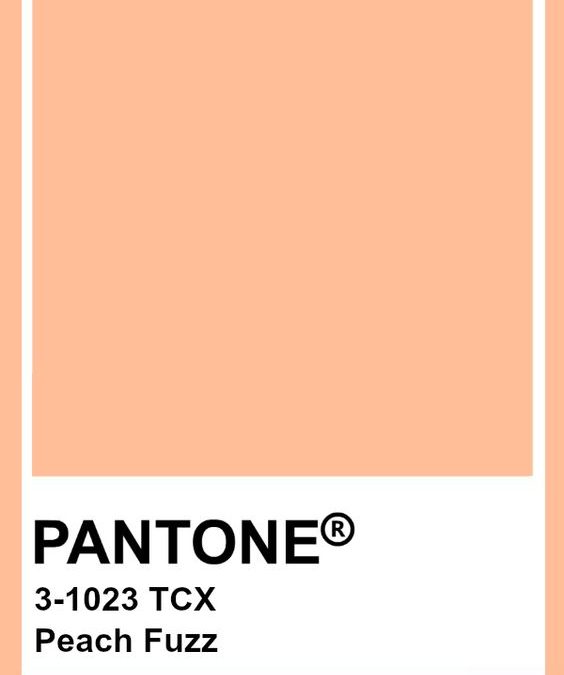 Tendance Déco Mariage : Comment utiliser la couleur Pantone 2024 Peach Fuzz ?